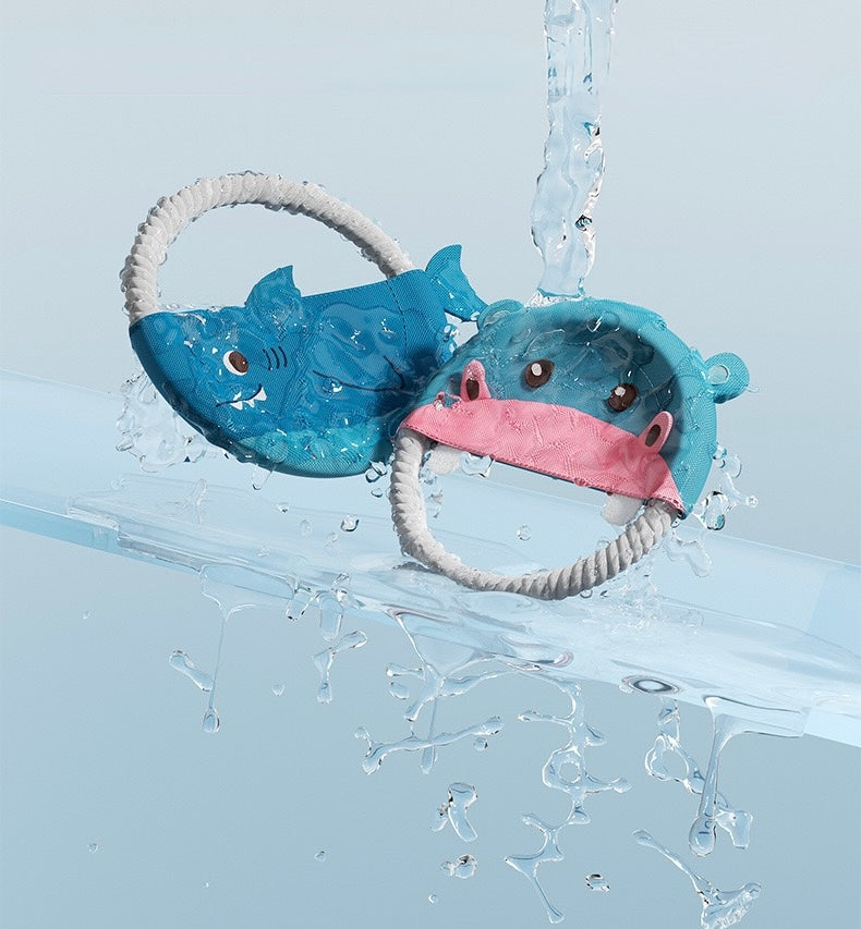 Curious Sharky