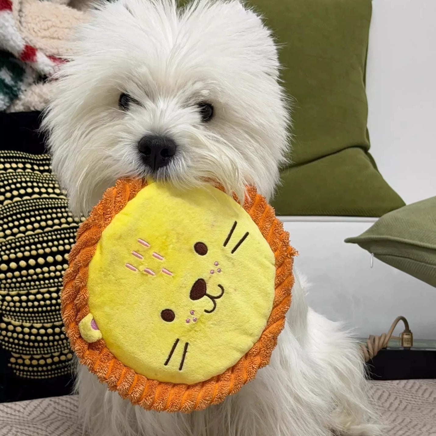 Customer dog photo